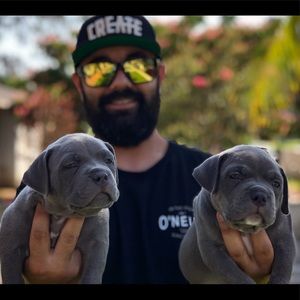 Meet your Posher, Fred